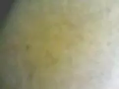 El chico se folla po ...
